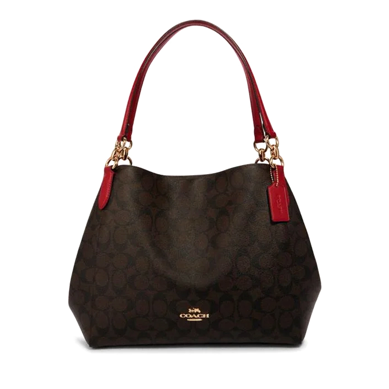 Hallie bag coach online