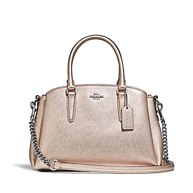 Mini sage carryall coach best sale