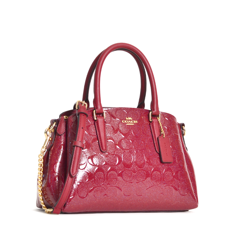 Coach signature sales mini sage carryall