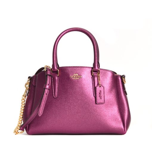 Mini sage carryall discount coach