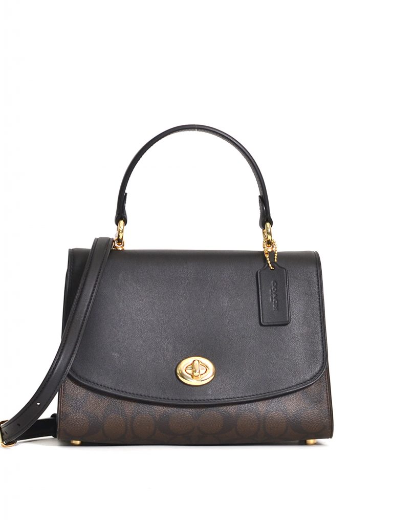 cotton candy brahmin bag