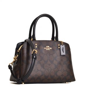 coach signature mini lillie carryall